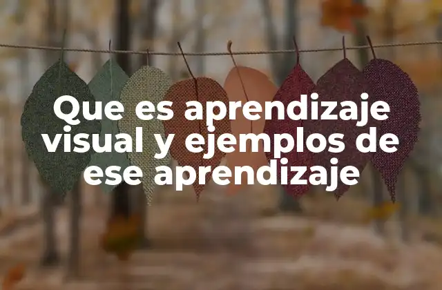 Que es Aprendizaje Visual y Ejemplos de Ese Aprendizaje
