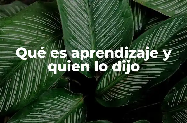 Qué es Aprendizaje y Quien Lo Dijo