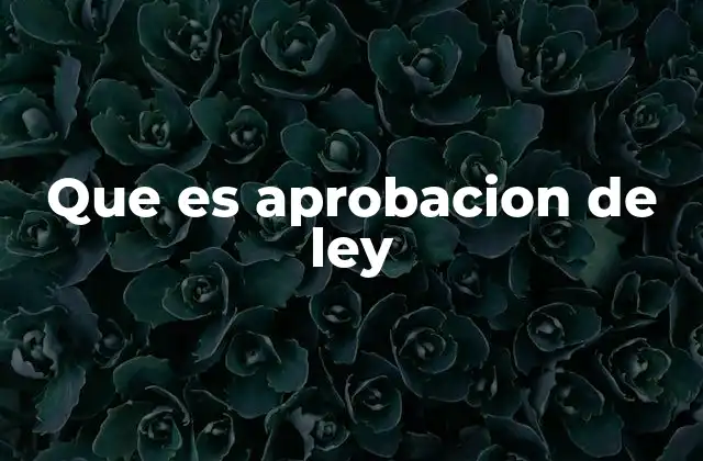 Que es Aprobacion de Ley