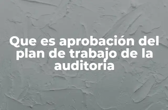 Que es Aprobación Del Plan de Trabajo de la Auditoria