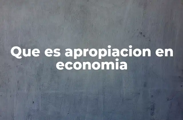 Que es Apropiacion en Economia