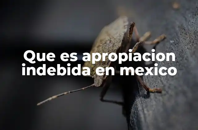 Que es Apropiacion Indebida en Mexico
