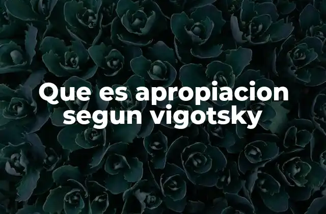 Que es Apropiacion Segun Vigotsky