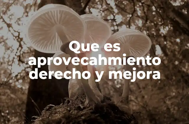 Que es Aprovecahmiento Derecho y Mejora