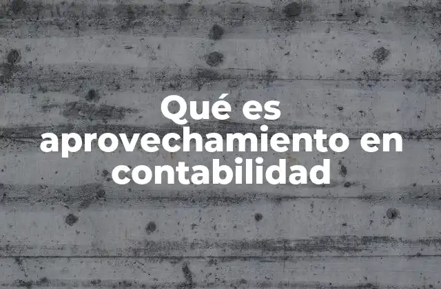 Qué es Aprovechamiento en Contabilidad