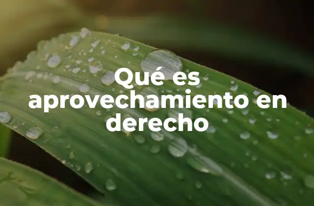 Qué es Aprovechamiento en Derecho