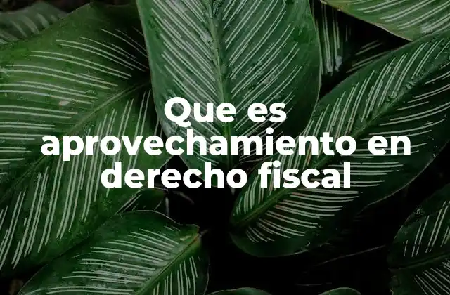 Que es Aprovechamiento en Derecho Fiscal