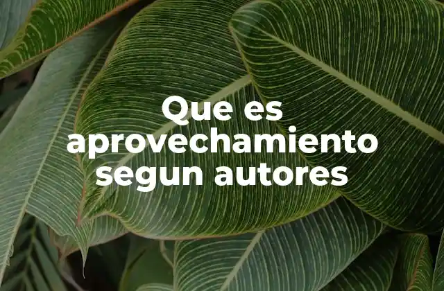 El aprovechamiento como clave del éxito en distintas áreas