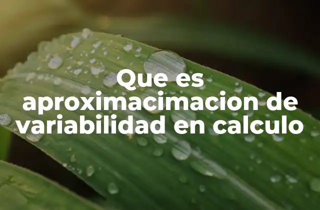 Que es Aproximacimacion de Variabilidad en Calculo