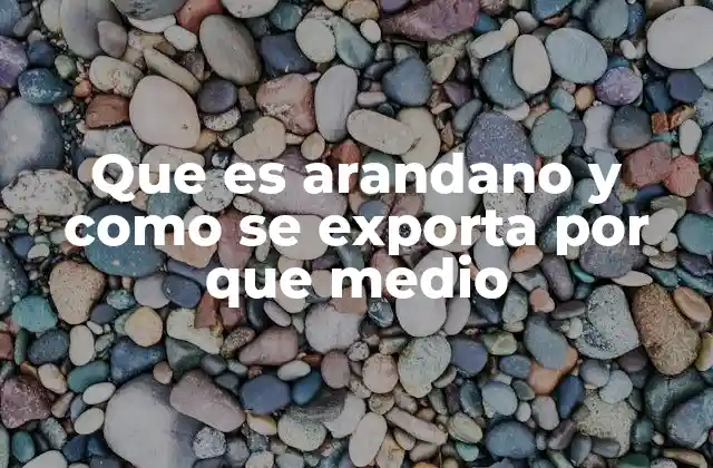 Que es Arandano y como Se Exporta por que Medio