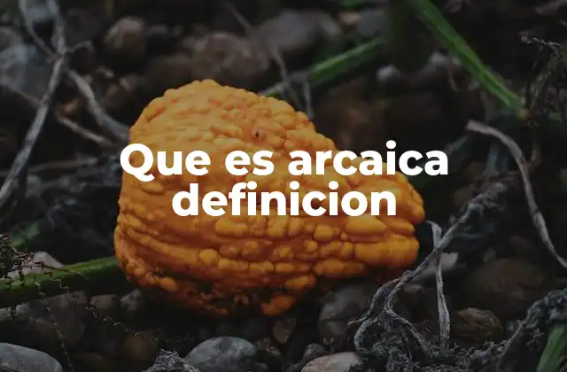 Que es Arcaica Definicion