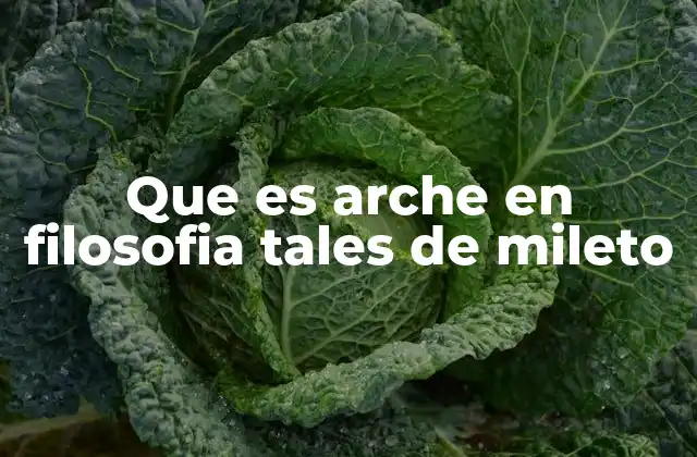 Que es Arche en Filosofia Tales de Mileto