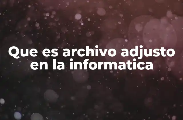 Que es Archivo Adjusto en la Informatica