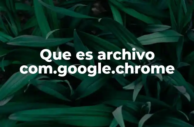 Que es Archivo Com.google.chrome
