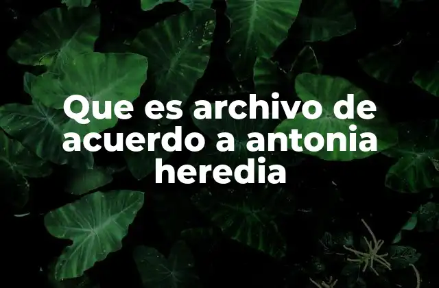 Que es Archivo de Acuerdo a Antonia Heredia