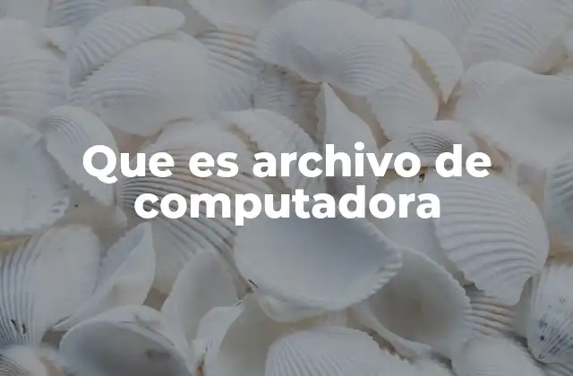 Que es Archivo de Computadora