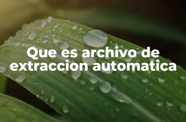 Que es Archivo de Extraccion Automatica