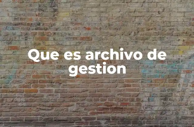 Que es Archivo de Gestion