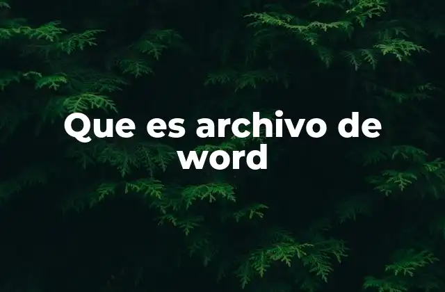 Que es Archivo de Word