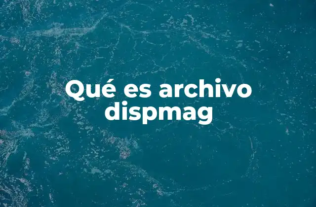 Qué es Archivo Dispmag