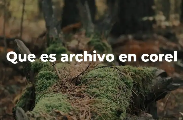 Que es Archivo en Corel