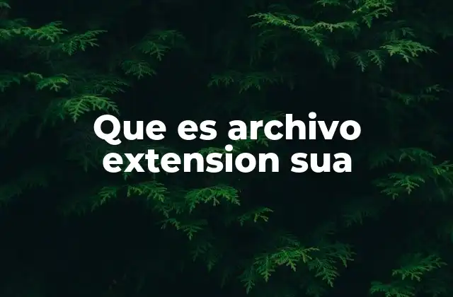Que es Archivo Extension Sua