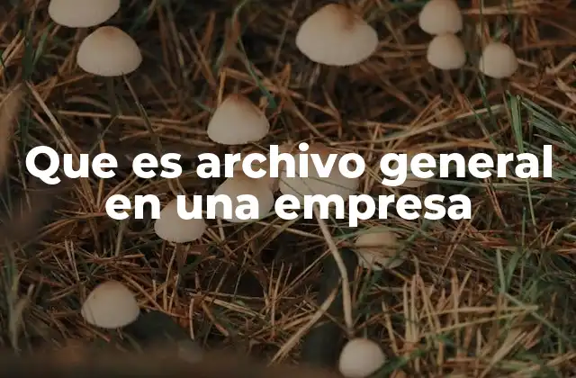Que es Archivo General en una Empresa