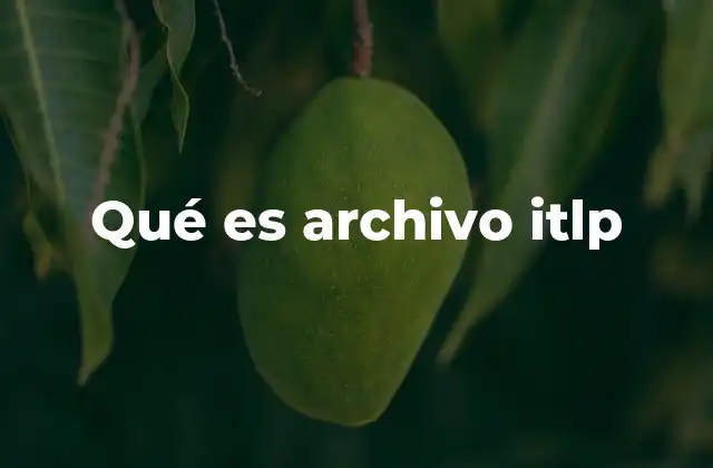 Qué es Archivo Itlp