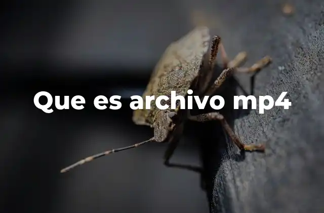 Que es Archivo Mp4
