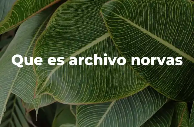 Que es Archivo Norvas