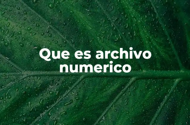 Que es Archivo Numerico