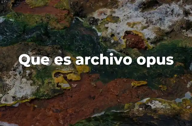 Que es Archivo Opus