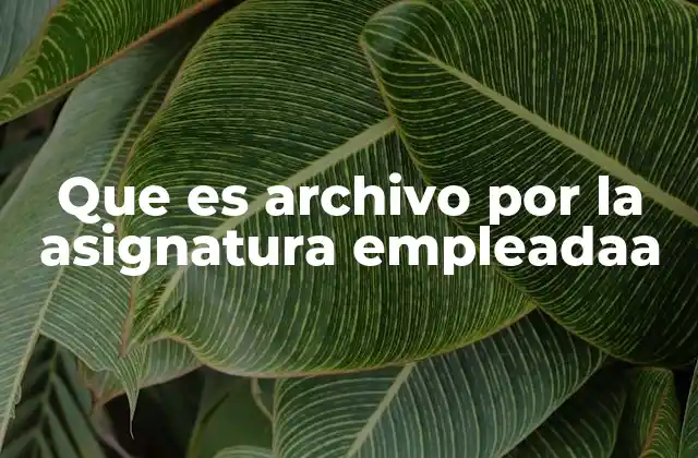 Que es Archivo por la Asignatura Empleadaa