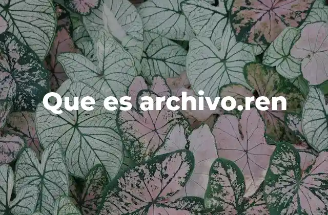 Que es Archivo.ren