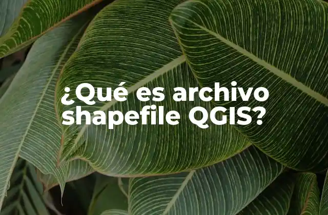 ¿qué es Archivo Shapefile Qgis? 2 Cómo QGIS interpreta los datos de un shapefile