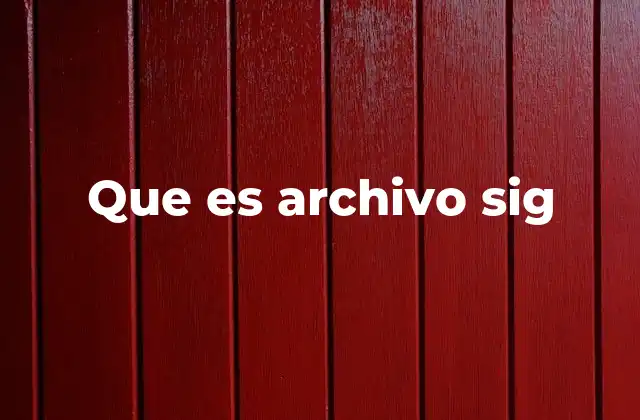 Que es Archivo Sig