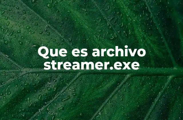 Funciones del archivo streamer.exe en el contexto del streaming