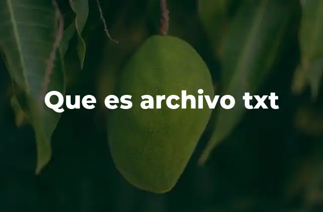 Que es Archivo Txt
