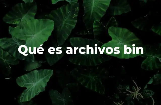 Qué es Archivos Bin
