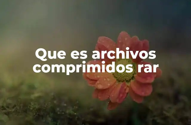 Que es Archivos Comprimidos Rar