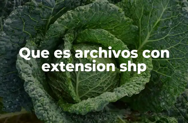 La importancia de los archivos geográficos en la gestión de datos espaciales