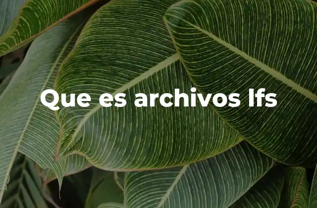 Que es Archivos Lfs
