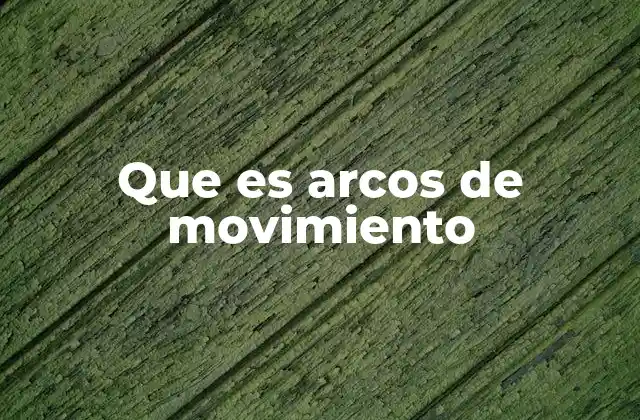 La importancia de los arcos de movimiento en el cuerpo humano