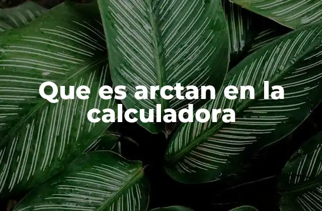 Que es Arctan en la Calculadora