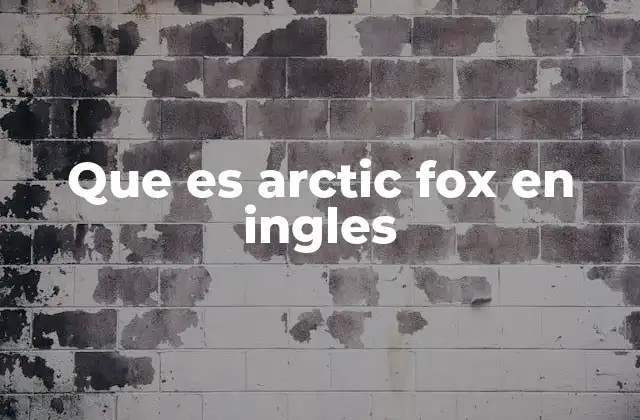 Que es Arctic Fox en Ingles