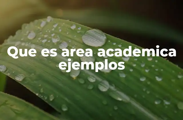 Que es Area Academica Ejemplos