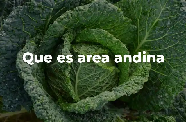 Que es Area Andina 2 El corazón cultural de los Andes