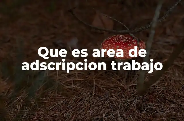 Que es Area de Adscripcion Trabajo