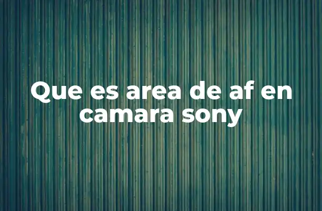 Que es Area de Af en Camara Sony