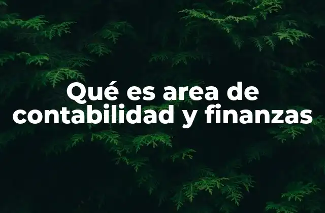 Qué es Area de Contabilidad y Finanzas